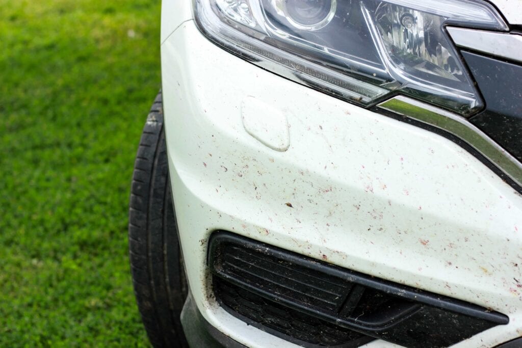 Close-up of thick yellow pollen and environmental debris on a white car bumper, showcasing professional detailing service in Ocala, Florida.