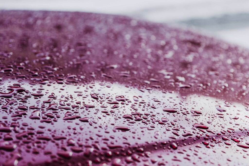 Close-up of extreme hydrophobic water beading on a deep purple metallic car hood after a professional ceramic coating service in Florida.